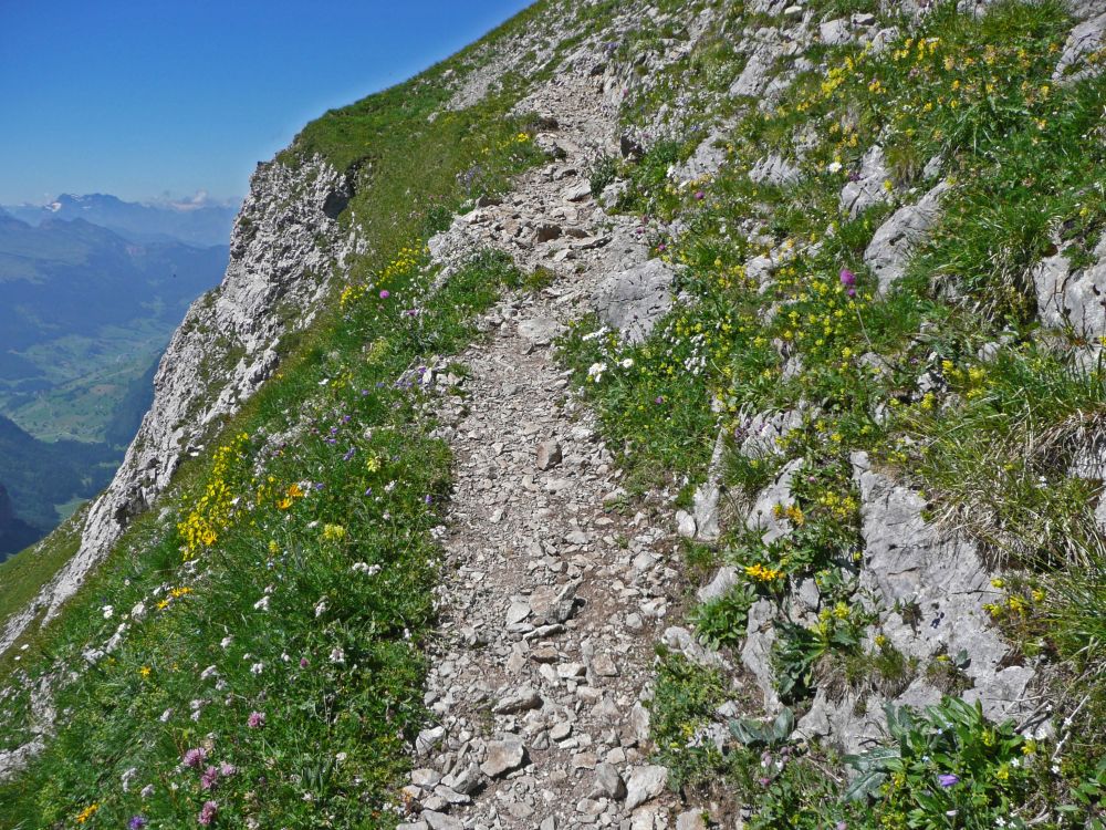 Bergpfad zum Lisengrat