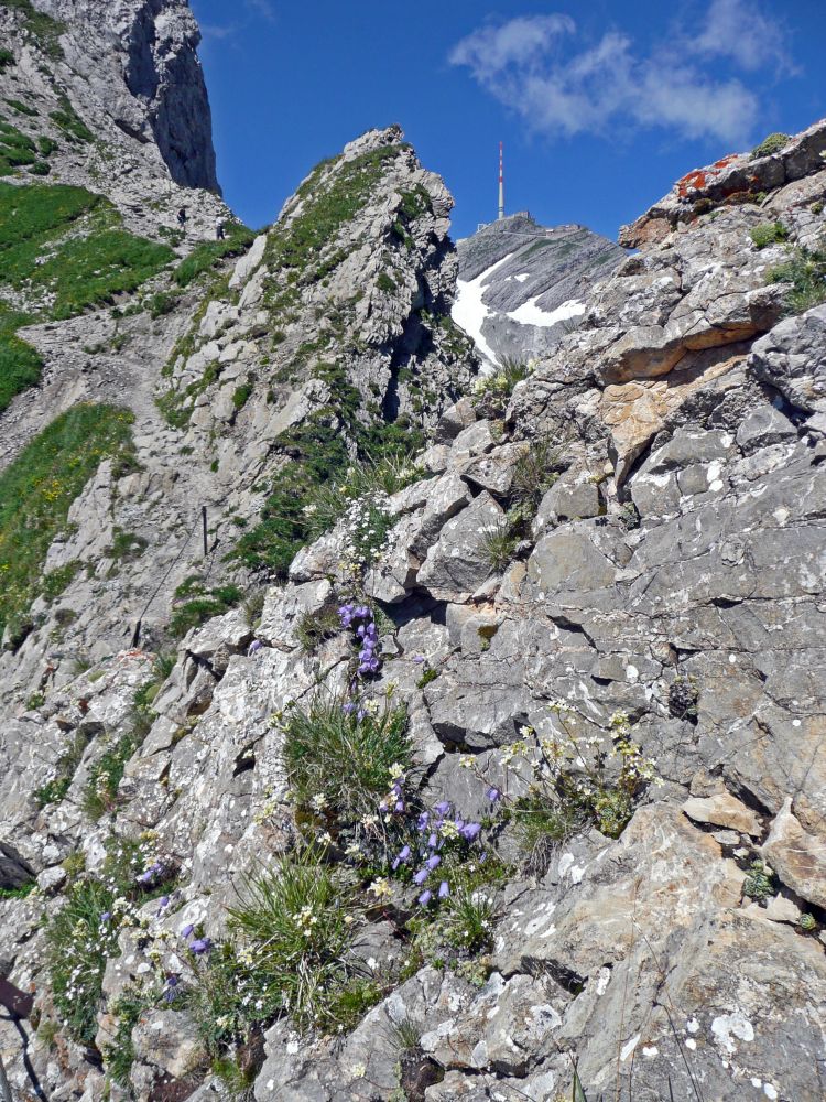 Säntis durch Felslücke