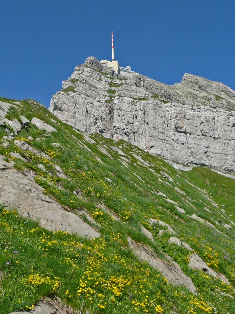 Säntis