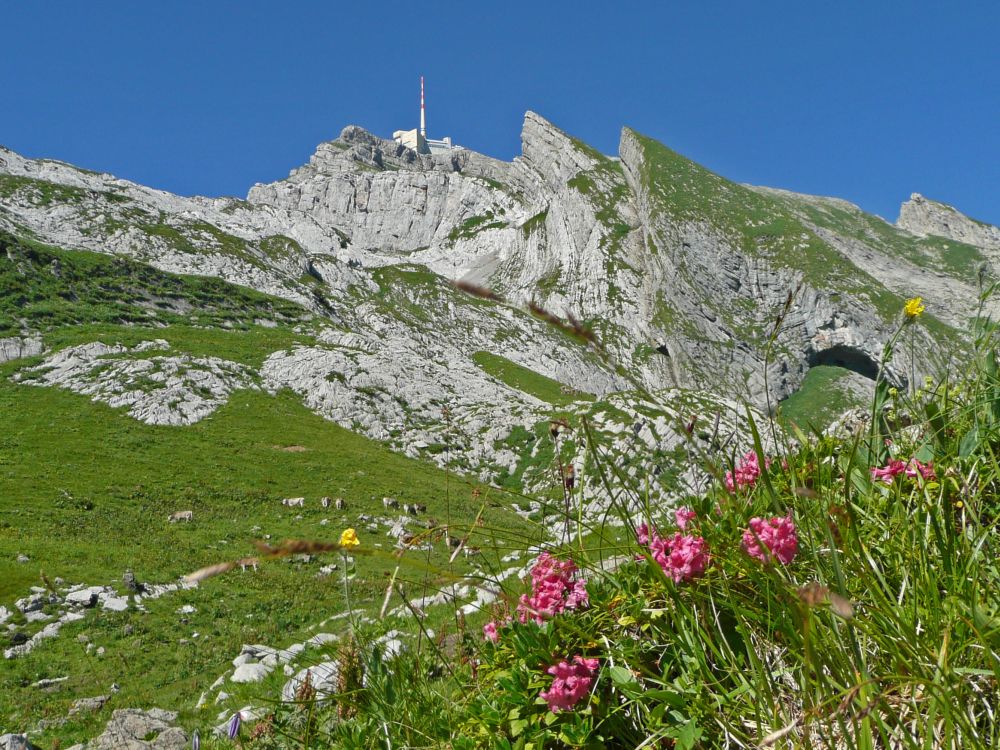 Blick Richtung Säntis