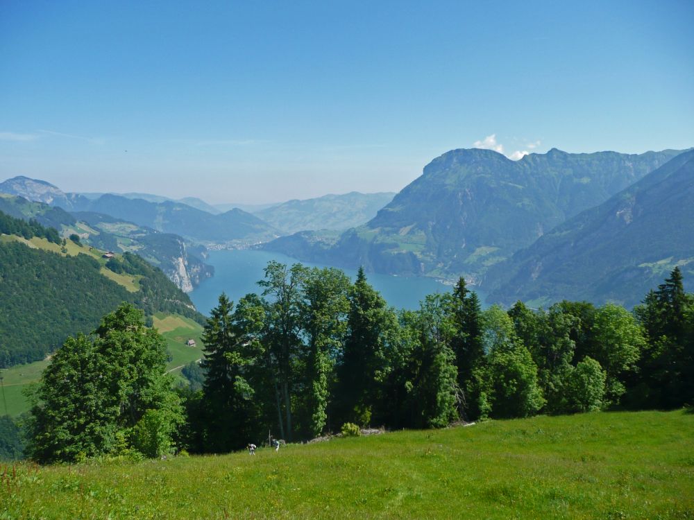 Urner See und Fronalpstock