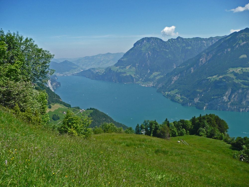 Urner See und Fronalpstock