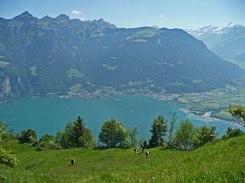 Blick auf Flüelen