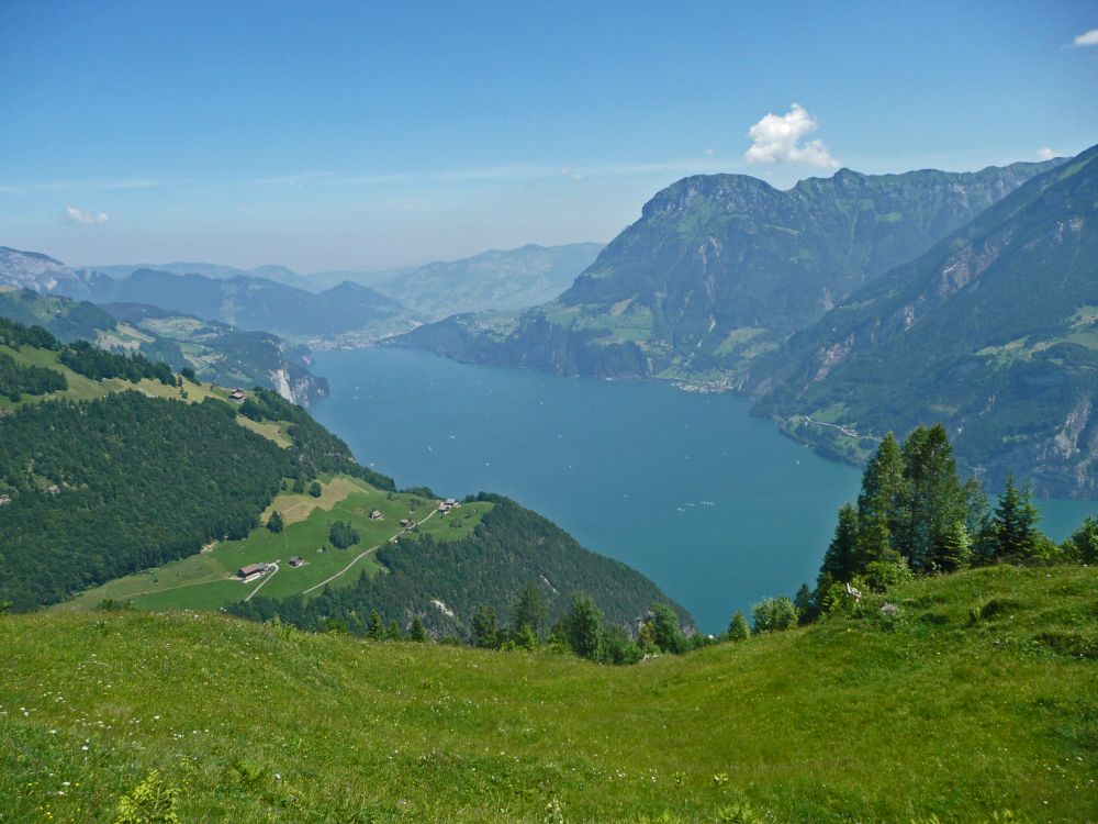 Bärchi, Urner See und Fronalpstock