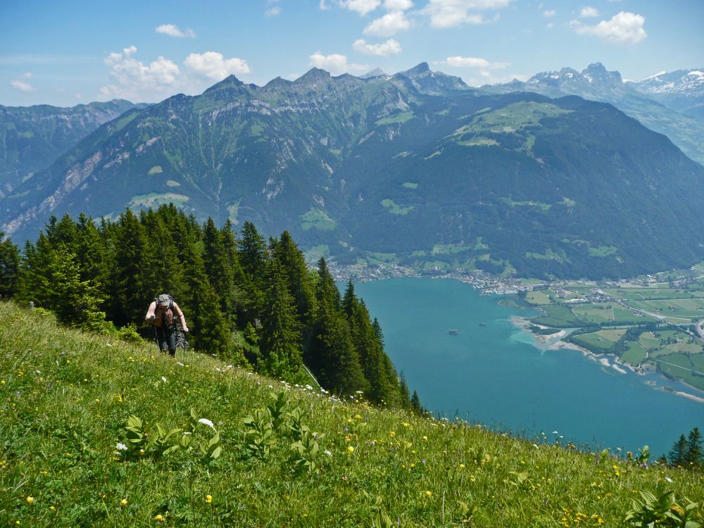 Rophaien und Urner See