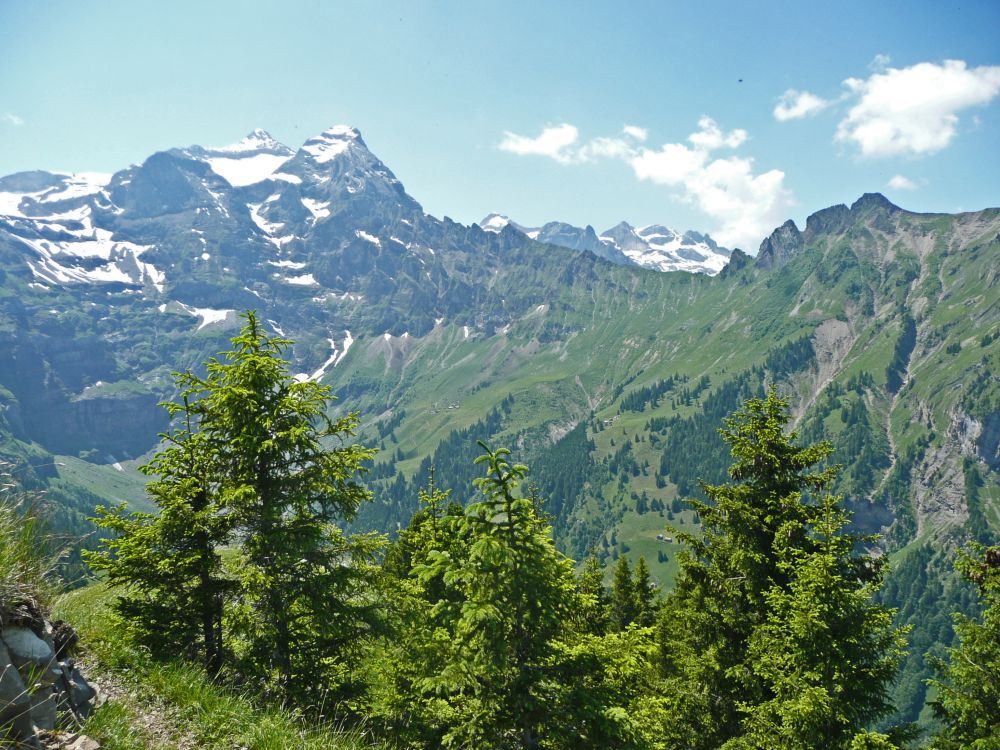 Uri Rotstock und Musenalp