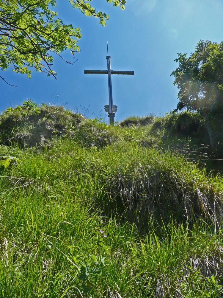 Gipfelkreuz Schartihöreli