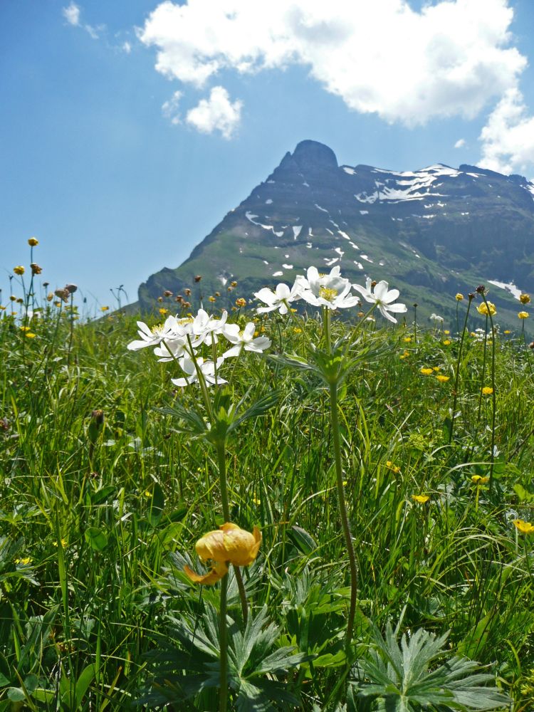 Gitschen