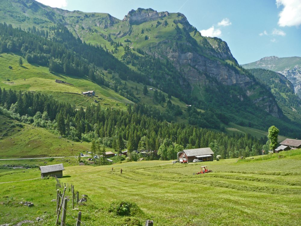 Heuernte im Chlital