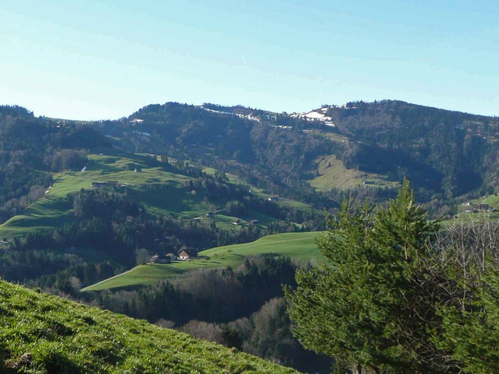 Blick Richtung Chrüzegg