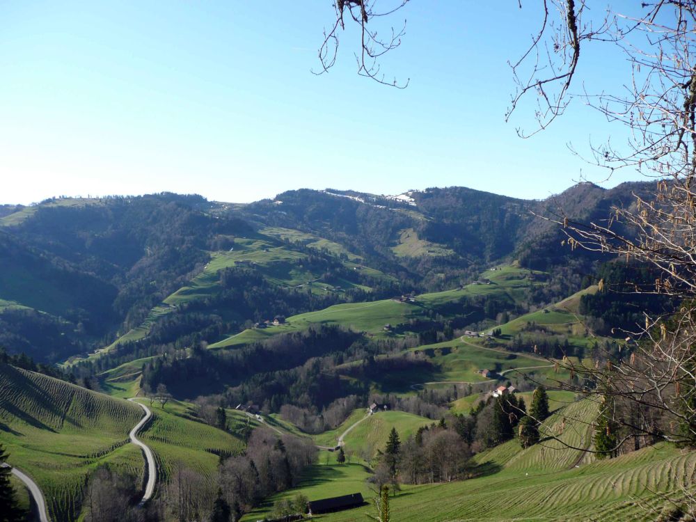 Blick Richtung Chrüzegg