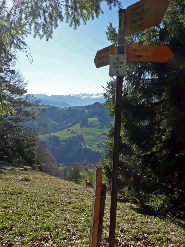 Blick von Oberstein auf Alpstein und Churfirsten
