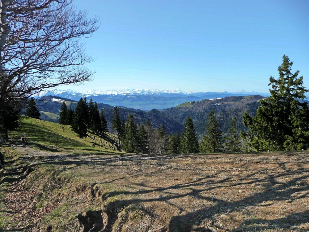 Blick Richtung Zürichsee und Zentralschweiz