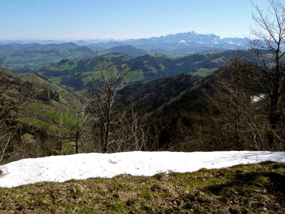 Blick Richtung Alpstein