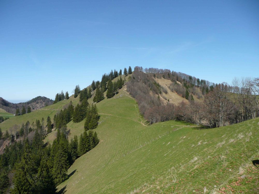 Schnebelhorn