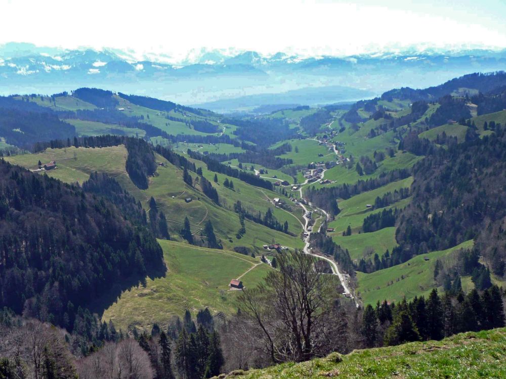 Goldinger Tal