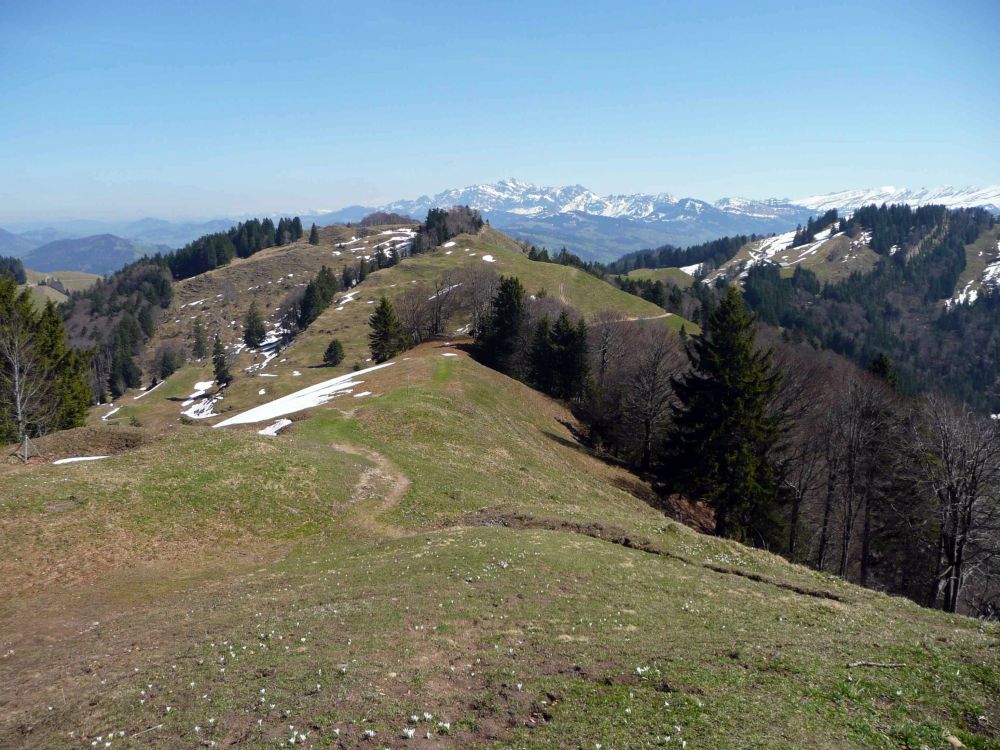Blick vom Chümibarren Richtung Alpstein