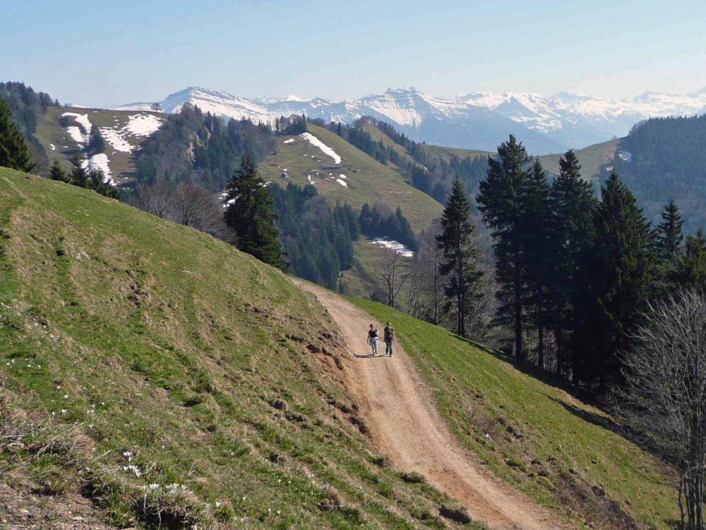 Wanderweg bei Chrüzegg