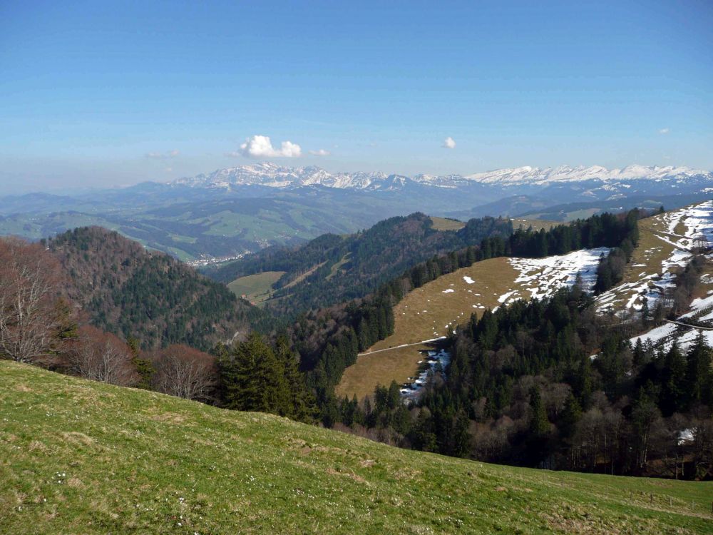 Blick Richtung Alpstein