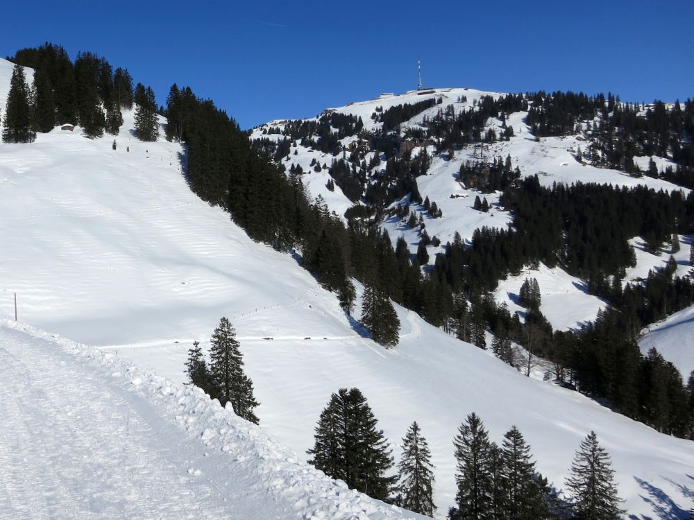 Blick zur Rigi Kulm