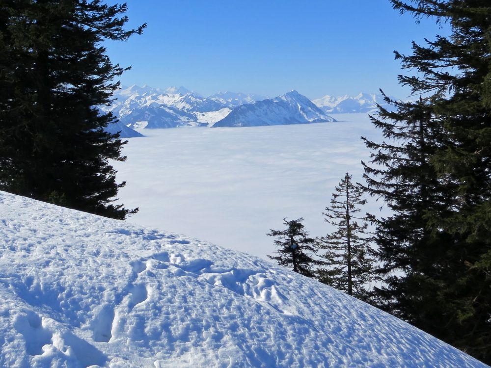 Stanserhorn (1898m) überm Nebel