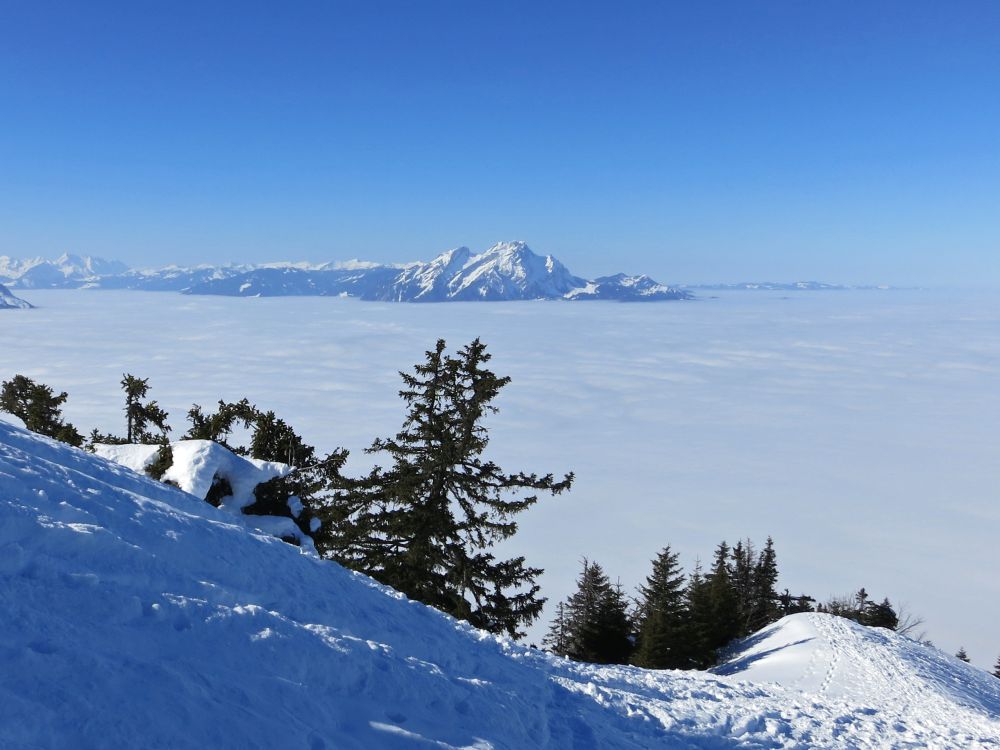 Pilatus (2119) überm Nebel