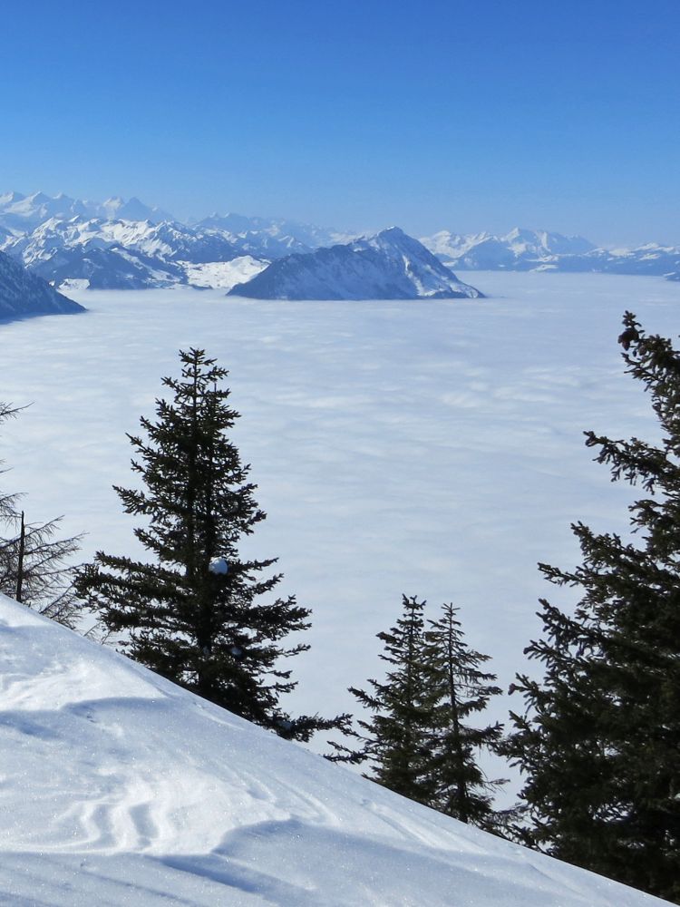 Stanserhorn überm Nebel