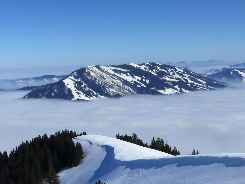 Rossberg (1580m)