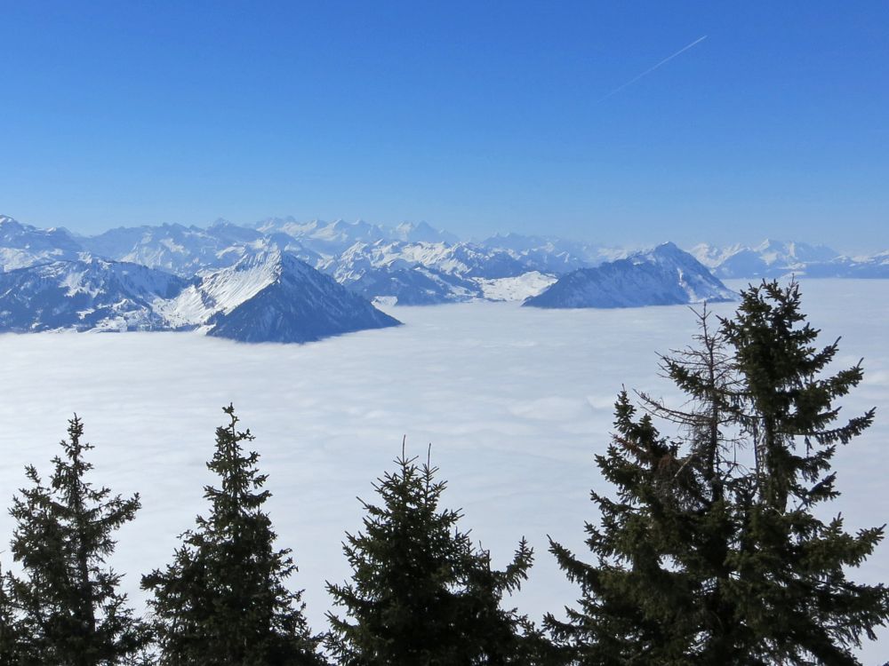 Buochserhorn und Stanserhorn