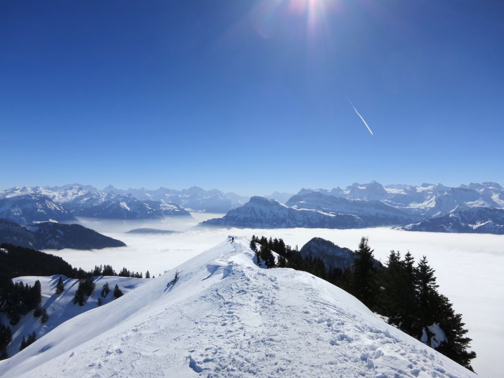 Blick Richtung Niderbauen (1923m)