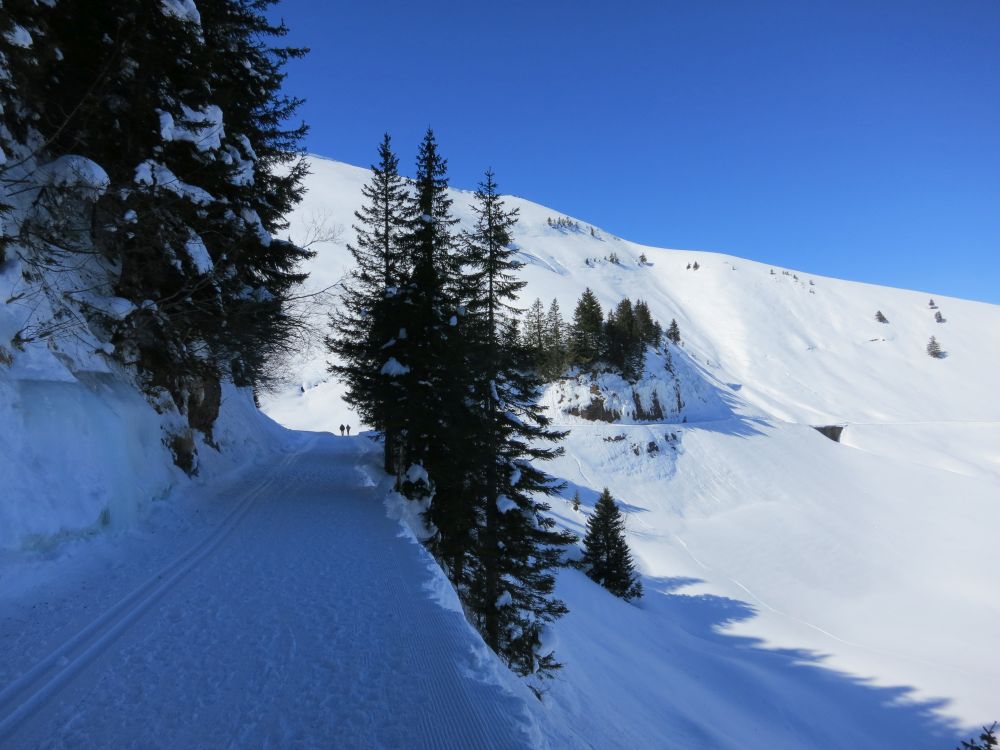 Winterwanderweg Schneealp