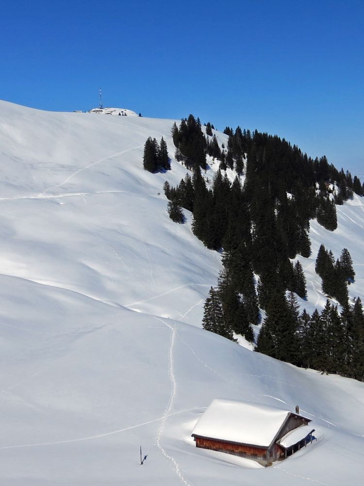 Blick Richtung Rigi Kulm