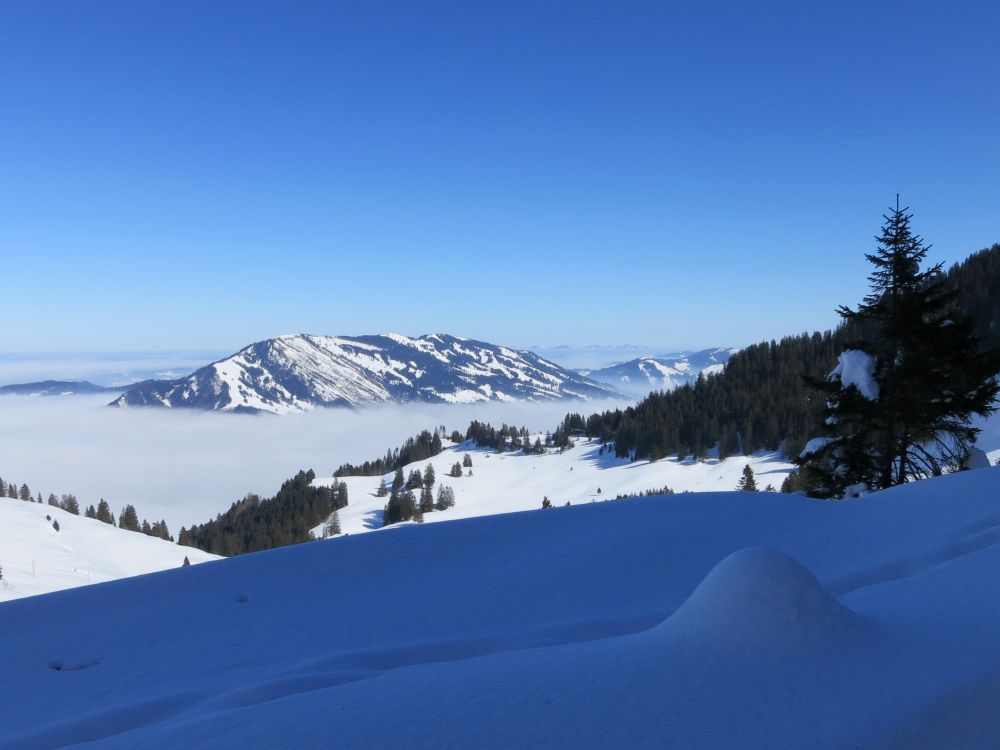 Blick Richtung Rossberg