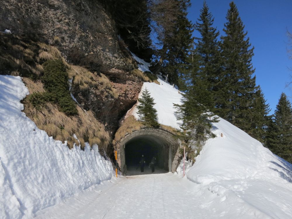 Tunnel