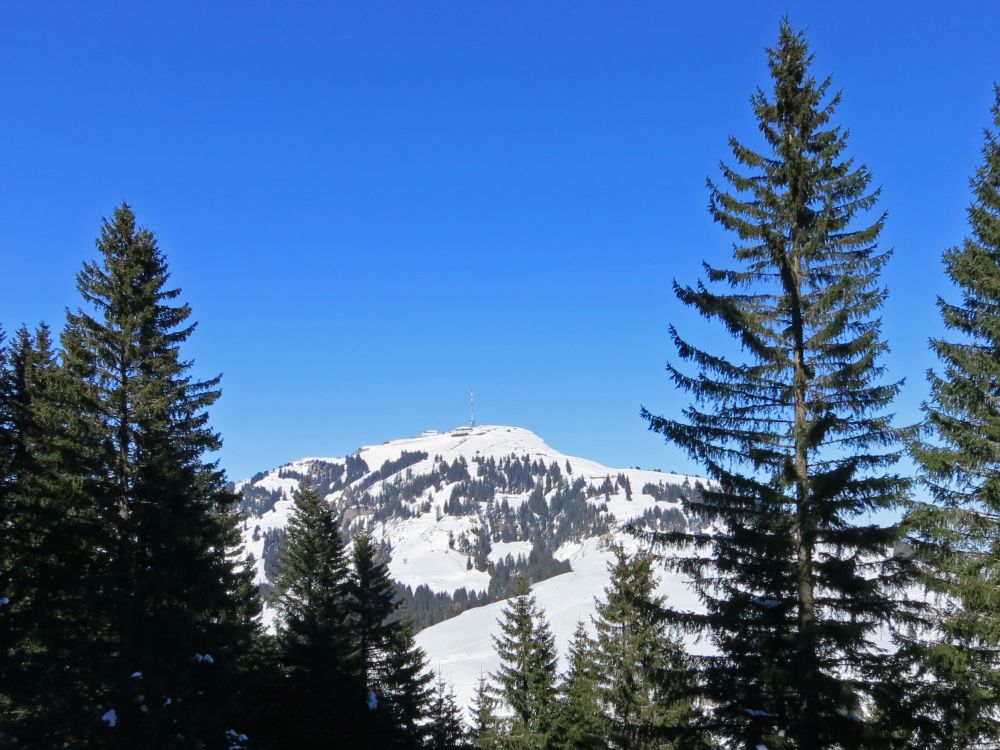 Blick Richtung Rigi Kulm