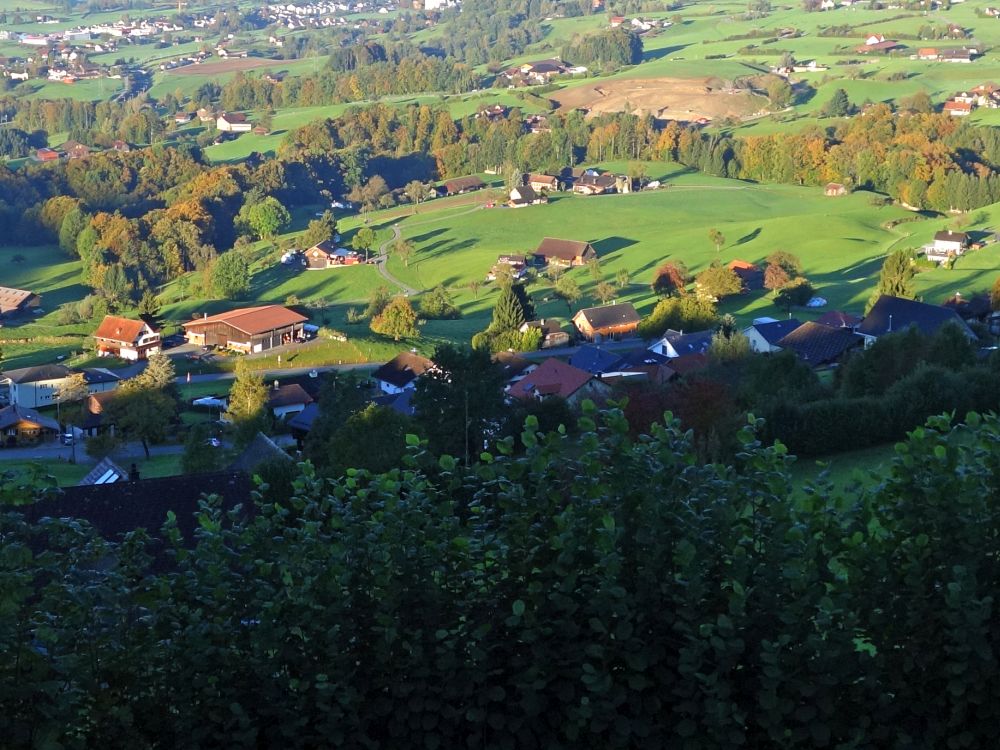 Nebel überm Zürichsee