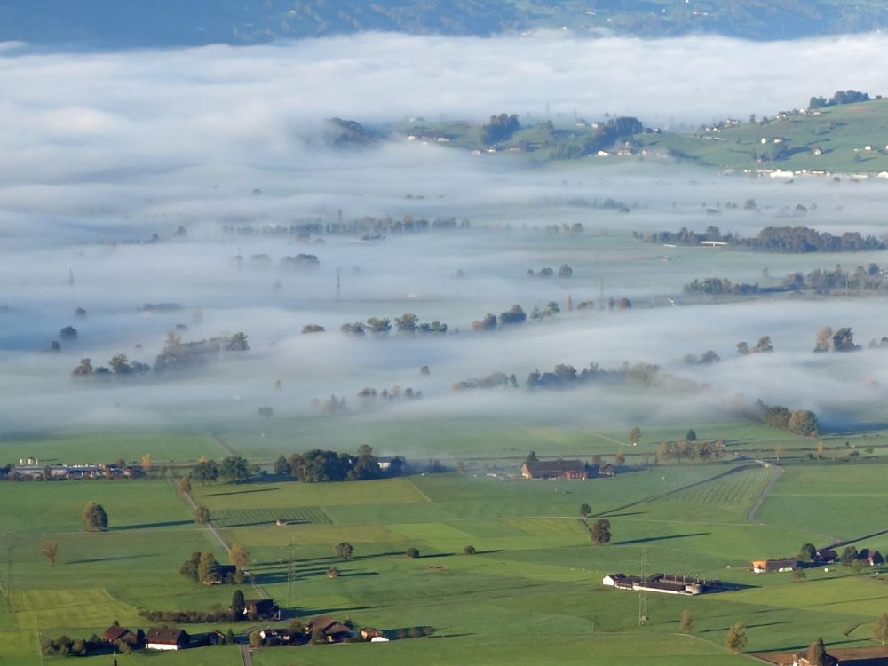 Nebel in der Linthebene