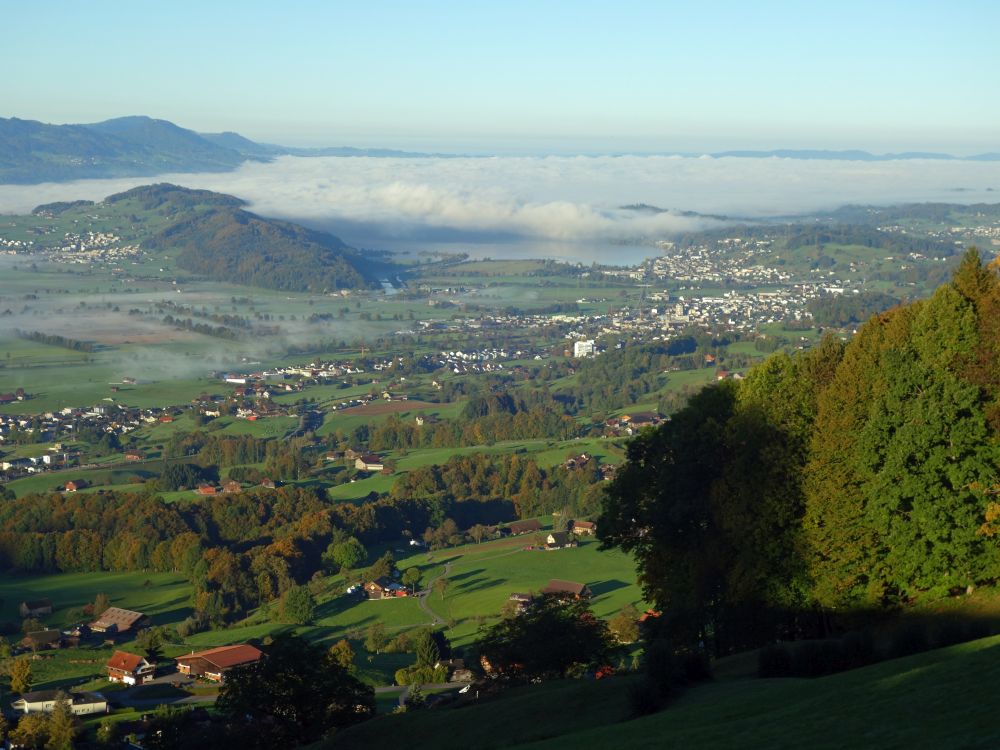 Nebel überm Zürichsee