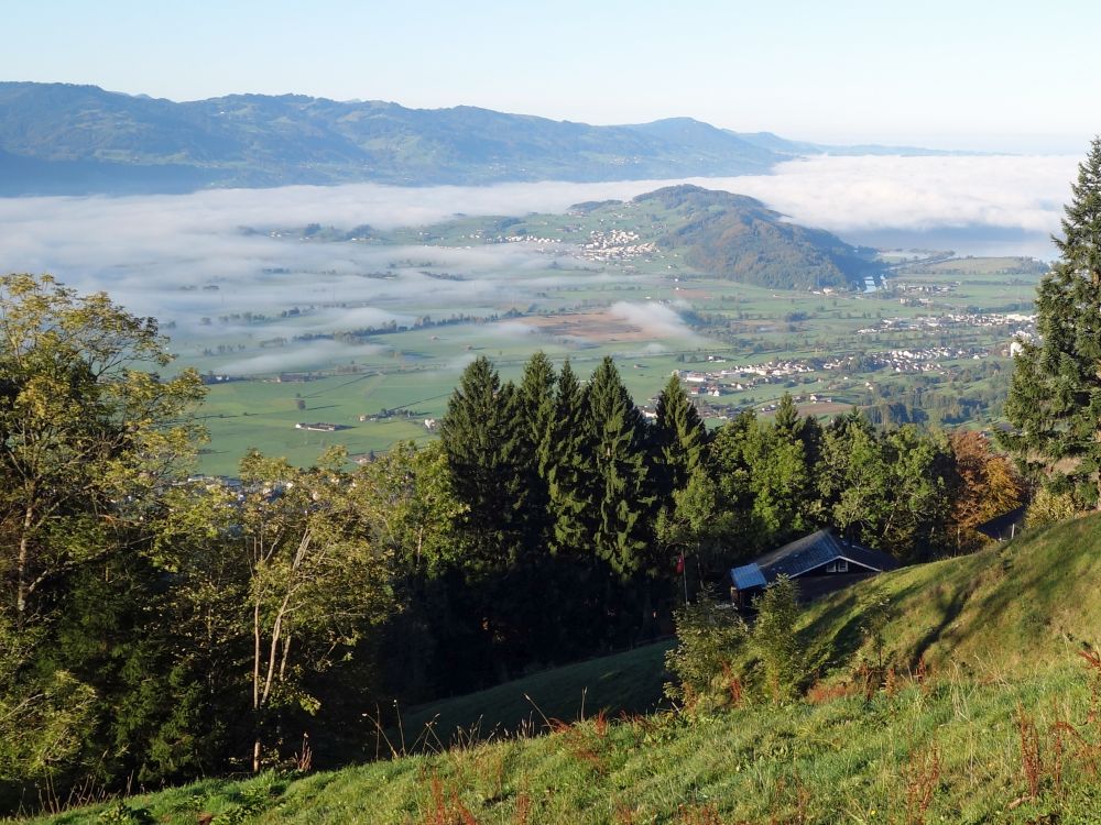 Nebel in der Linthebene