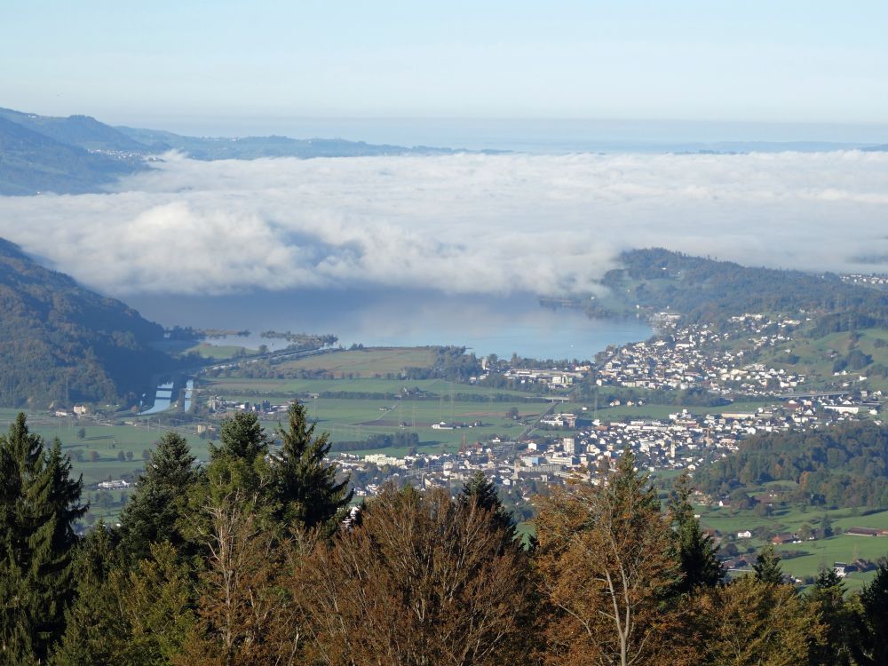 Nebel überm Zürichsee
