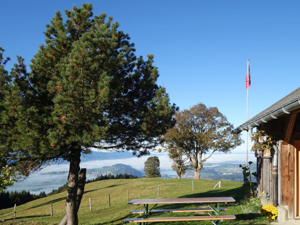 Terrasse von Wielesch