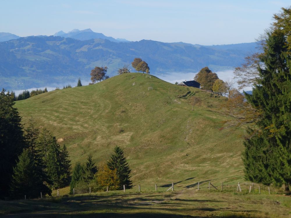 Wielesch mit Pilatus und Rigi