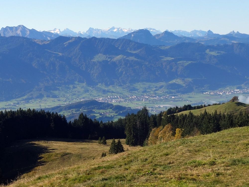 Blick über die Linthebene