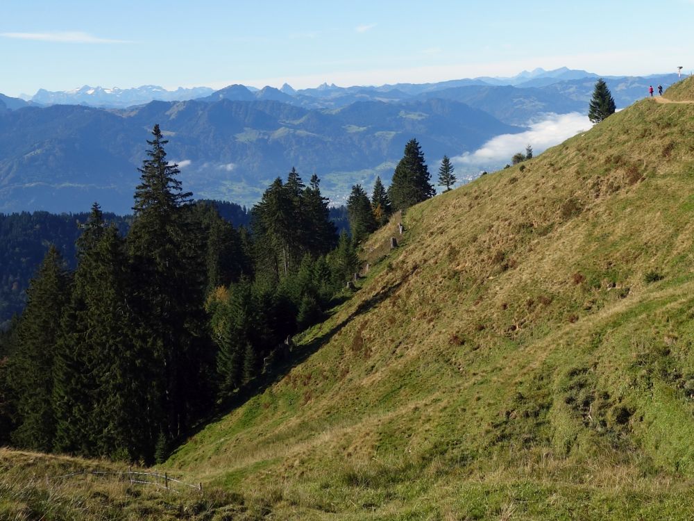 Blick über die Linthebene