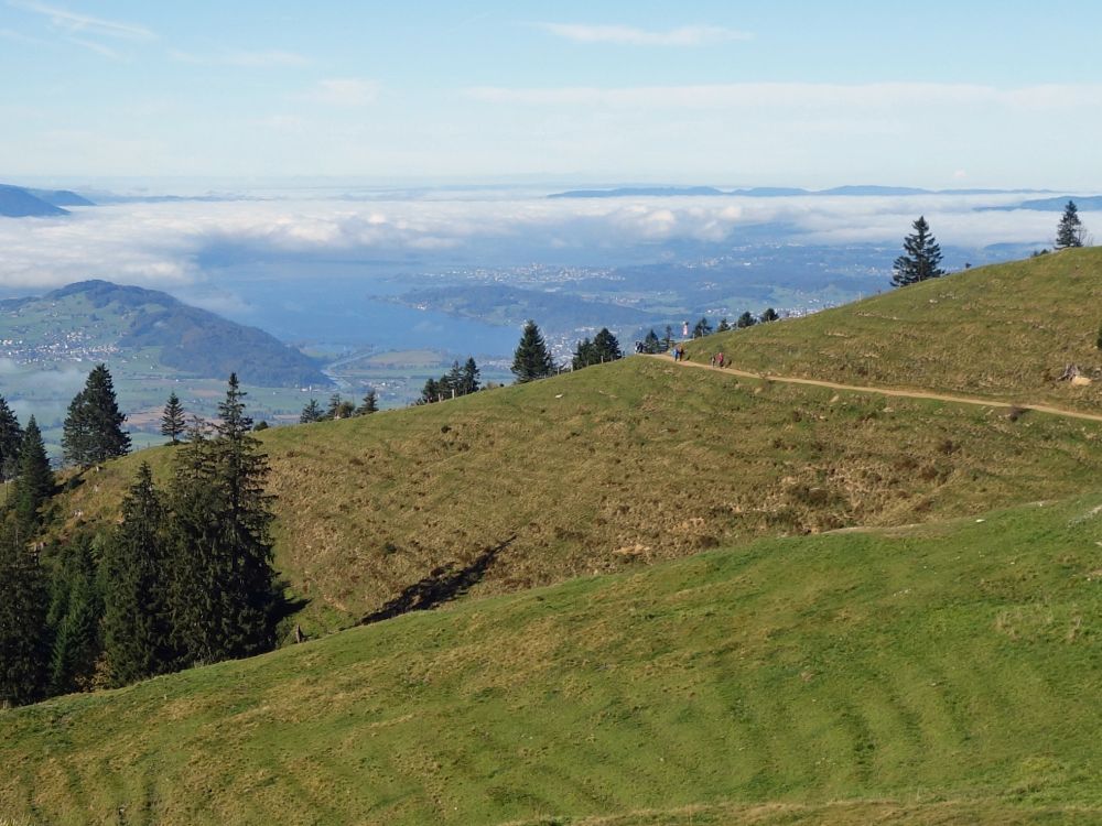 Zürichsee