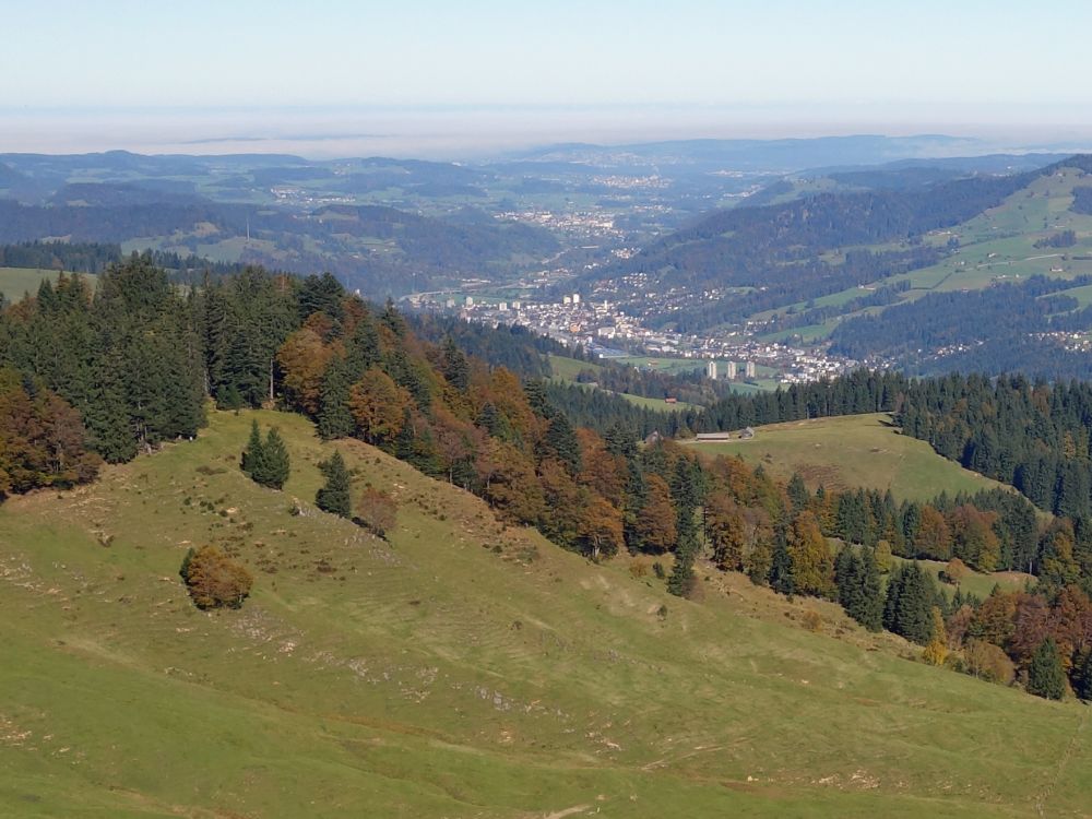 Blick auf Wattwil