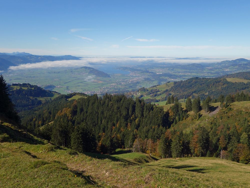 Blick Richtung Zürichsee