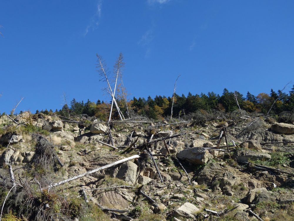 zerstörte Landschaft