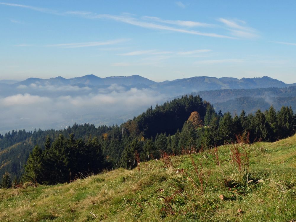 Zürcher Oberland