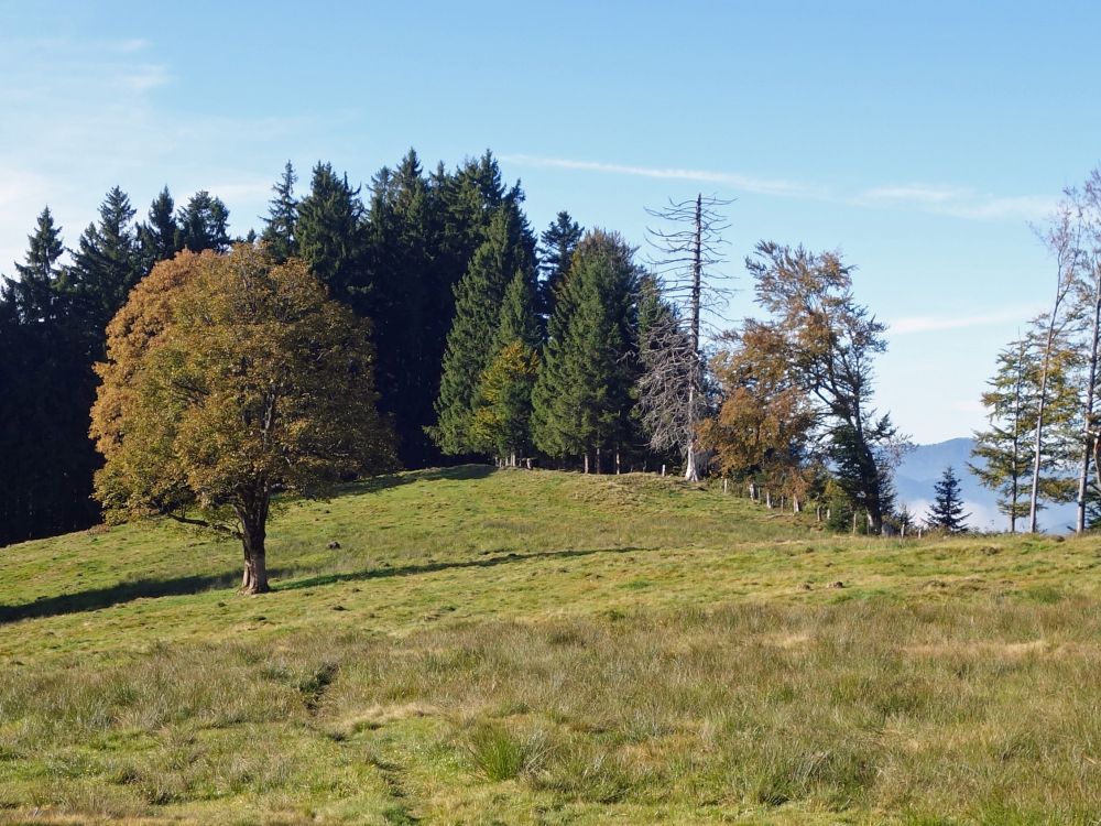 Landschaft bei Oberhag